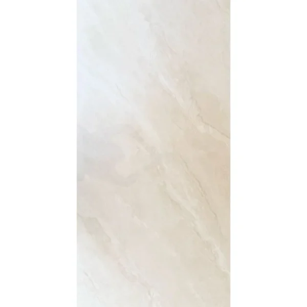 Porcelanatos60x120_Lpy