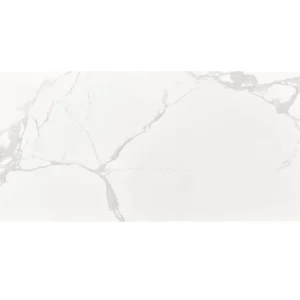 mayolicas-30x60