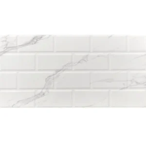 mayolicas-30x60