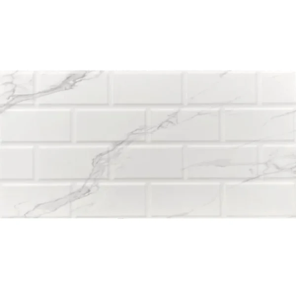 mayolicas-30x60