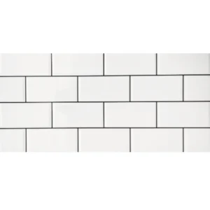 mayolicas-30x60